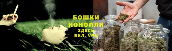 дмт Россошь