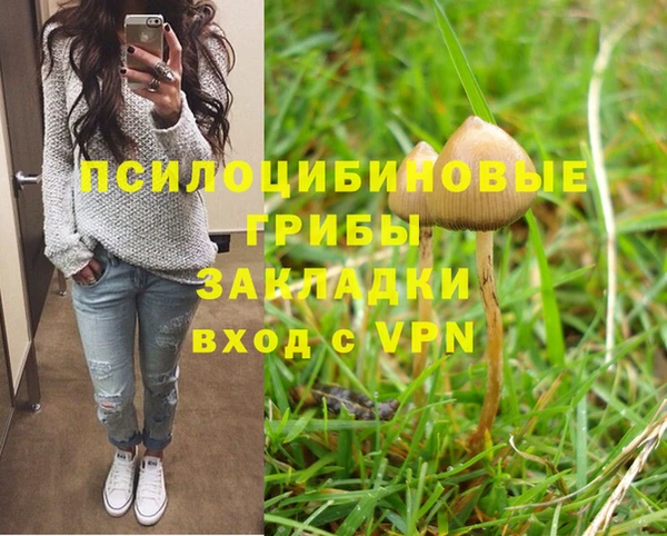 дмт Россошь
