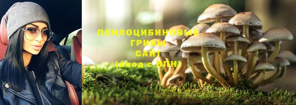 мяу мяу кристалл Рославль
